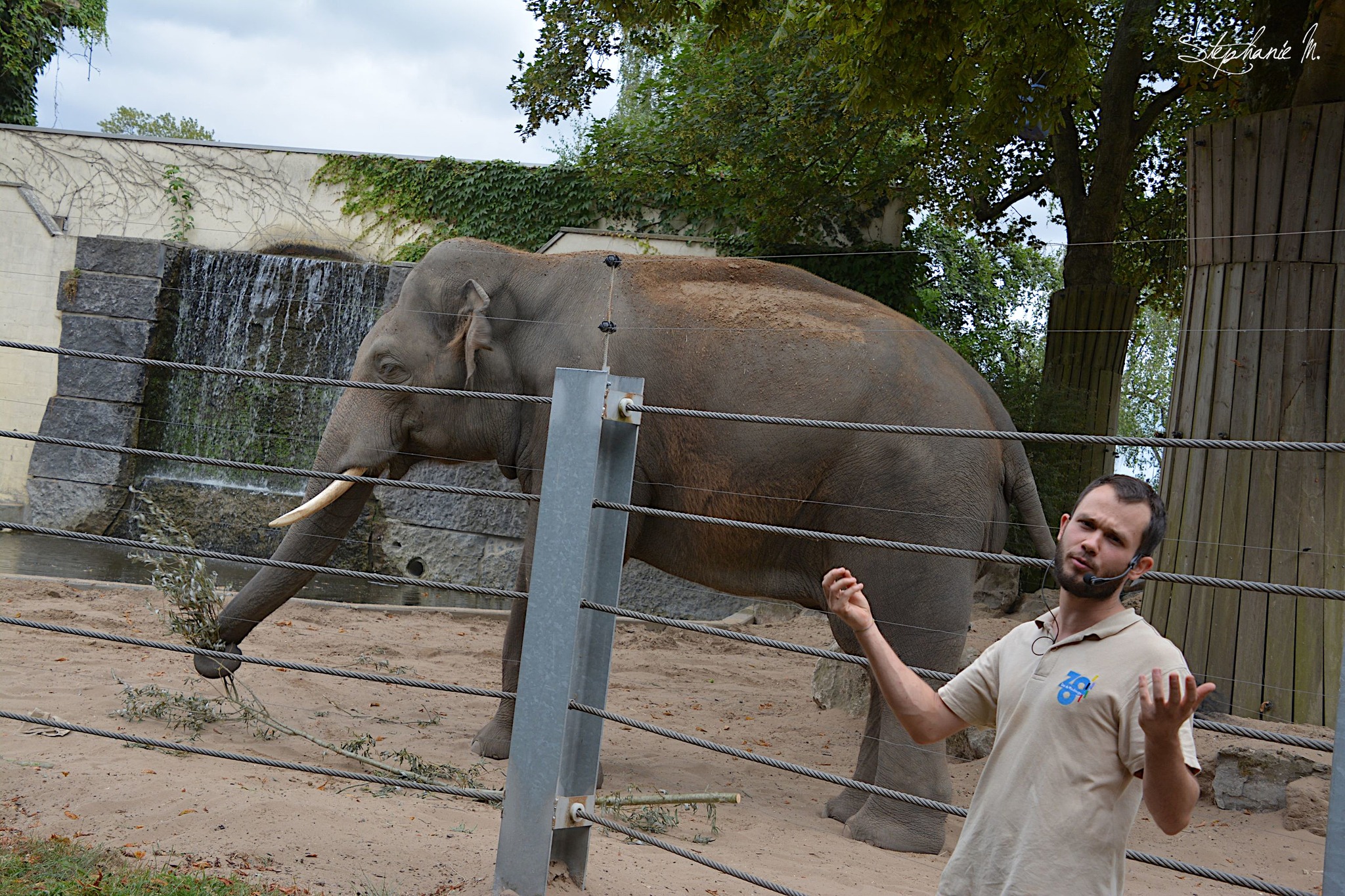 gouters-des-animaux-zoo-de-maubeuge