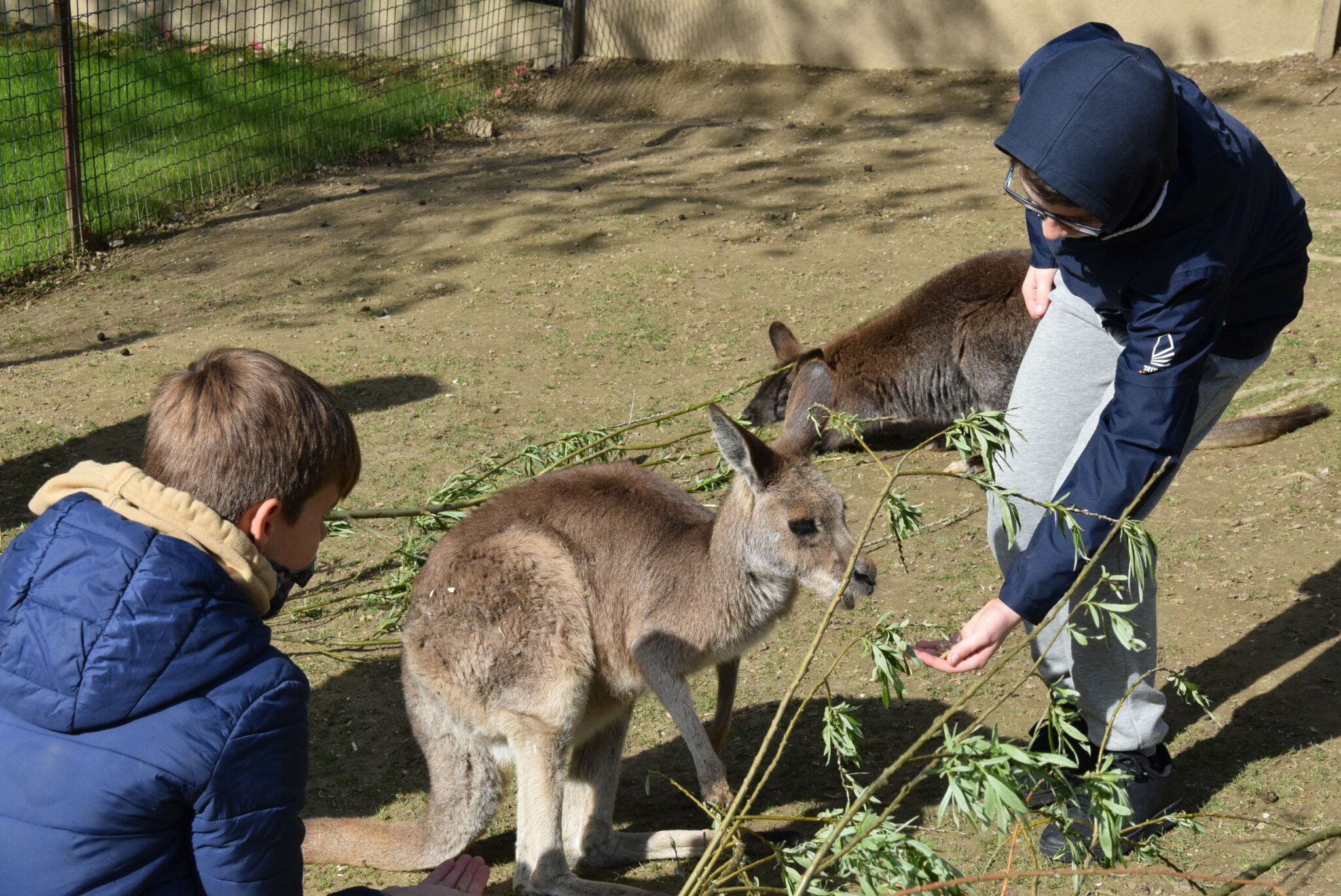 accueil-zoo-de-maubeuge