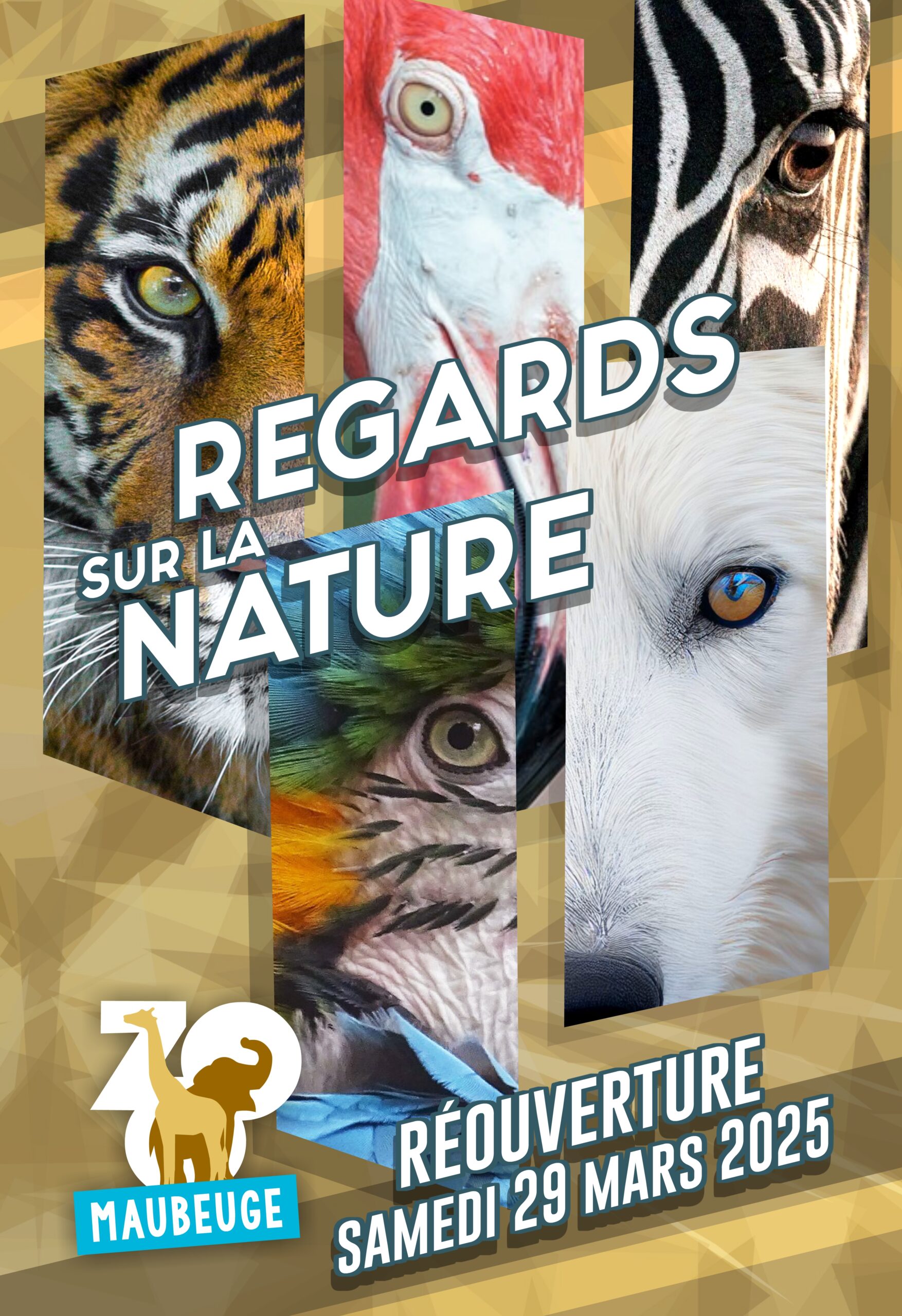 accueil-zoo-de-maubeuge